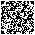 QR code with Toggery contacts