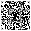 QR code with Blue Diamond Autos contacts