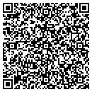 QR code with Capozzi Matthew DPM contacts