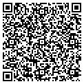 QR code with Local contacts