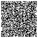 QR code with Premier Import LLC contacts