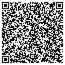 QR code with Puja Imports contacts