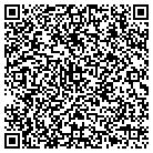 QR code with Babcock's Handyman Service contacts