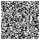 QR code with Balt Countyty Holdings Ll contacts