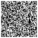 QR code with Ps Consumer Products contacts