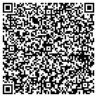 QR code with Public Access Studio contacts