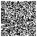 QR code with Costanzo Gregory DPM contacts