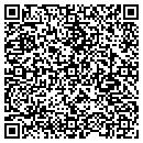 QR code with Collier County Dmv contacts