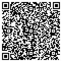 QR code with Pogo Media Inc contacts