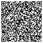 QR code with Bmj Lights Distributing contacts