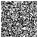 QR code with Carter Chris R CPA contacts
