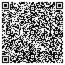 QR code with Critical Image Ltd contacts