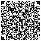 QR code with Pulliam R Brad CPA contacts