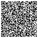 QR code with Pyramid Studios Inc contacts