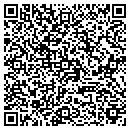 QR code with Carleton Nancy E CPA contacts