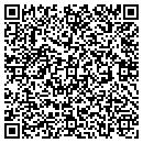 QR code with Clinton R Lowery Dpm contacts