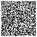 QR code with Carrie A Arndt Cpa contacts