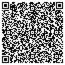 QR code with Collins Dave J CPA contacts