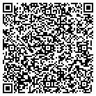 QR code with Publix Productions LLC contacts
