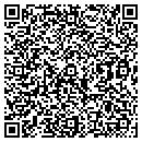 QR code with Print-O-Stat contacts