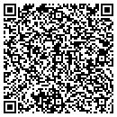 QR code with Cave Distributors LLC contacts
