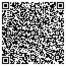 QR code with Carl A Rummel Cpa Pllc contacts