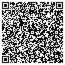 QR code with Pulse Eft Assn Jp contacts
