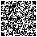 QR code with Pyramid F X Com contacts