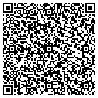 QR code with Pulse Accounting Service contacts