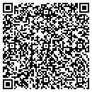 QR code with Chapman Christina CPA contacts