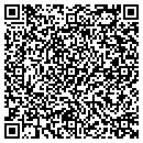 QR code with Clarke Melinda D CPA contacts