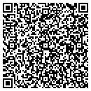 QR code with Cpa Cleo Cfp Toelle contacts