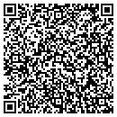 QR code with Cjc Productions Inc contacts