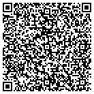 QR code with Bmsi Holdings Inc contacts