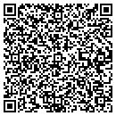 QR code with Print Meister contacts