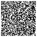 QR code with Print Plex LLC contacts