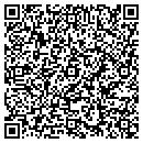 QR code with Concept Holdings Inc contacts