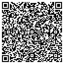 QR code with Printsonic Inc contacts