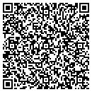 QR code with Propep L L C contacts
