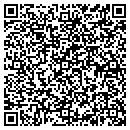 QR code with Pyramid Packaging Inc contacts