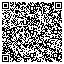 QR code with Carroll Tisha L CPA contacts