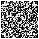 QR code with Ppw Chicago LLC contacts