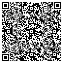 QR code with Professional Graphics contacts