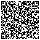 QR code with Carter David M CPA contacts