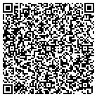 QR code with Public Safety Department contacts