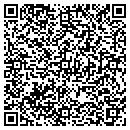 QR code with Cyphers Rick M CPA contacts