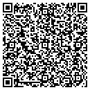 QR code with Premier Packaging Inc contacts