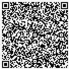 QR code with Pyramid Checks & Printing contacts