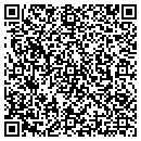 QR code with Blue Ridge Township contacts