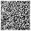 QR code with Chestnut Twp Office contacts